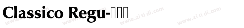 Classico Regu字体转换